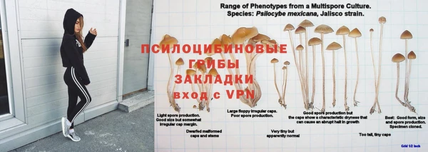 гашик Покровск